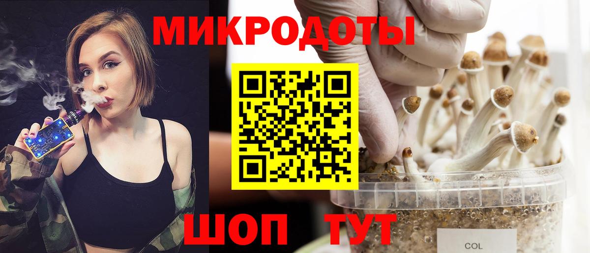 Псилоцибиновые грибы GOLDEN TEACHER  Галлюциногенные грибы прущие грибы  Вход с VPN  Малгобек 