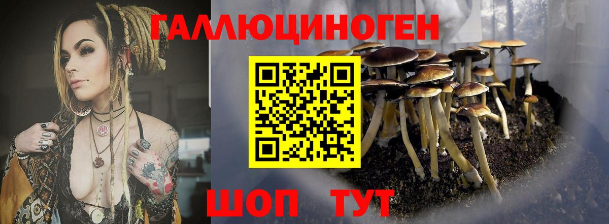 Галлюциногенные грибы мухоморы Малгобек